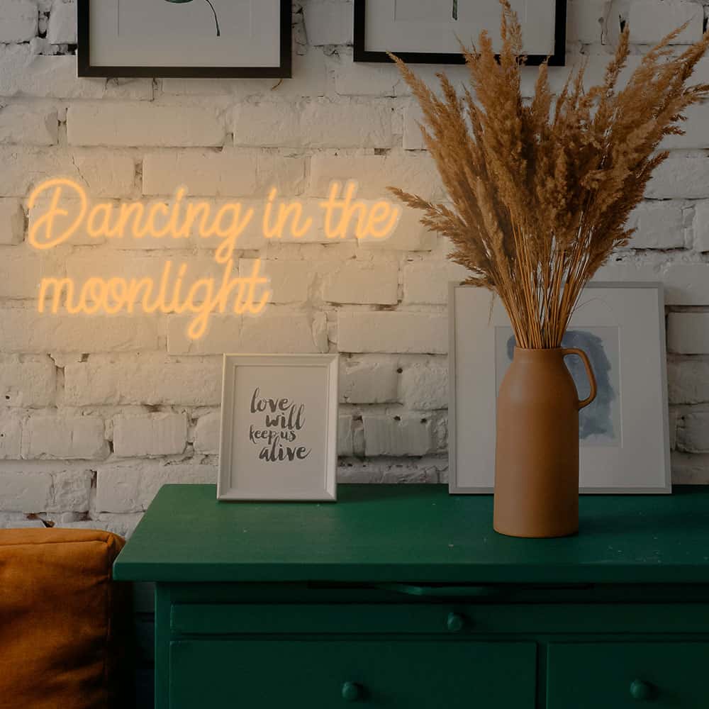 dancinginthemoonlight
