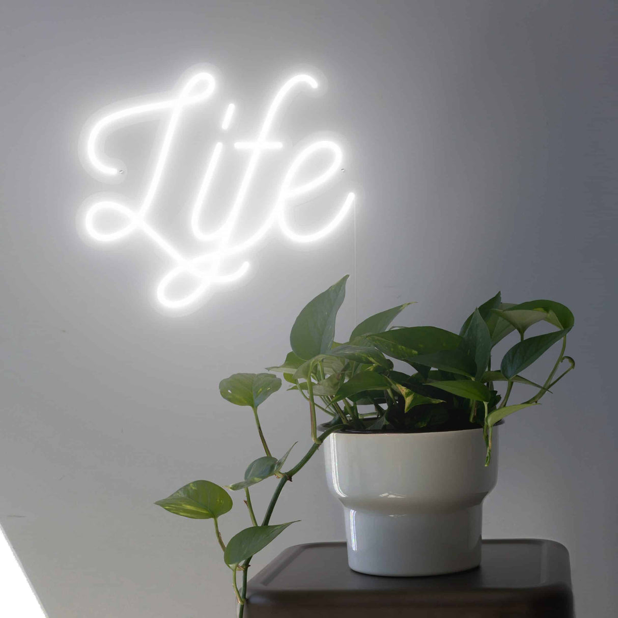 neon led Life