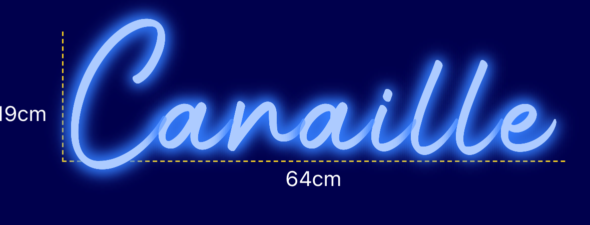 Néon personnalisé (Canaille)