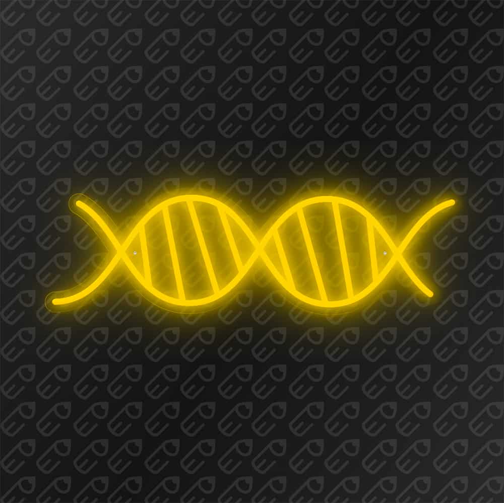 ADN-Jaune