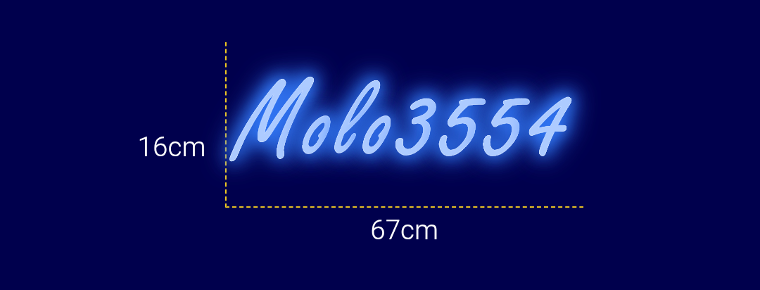 Néon personnalisé (Molo3554)