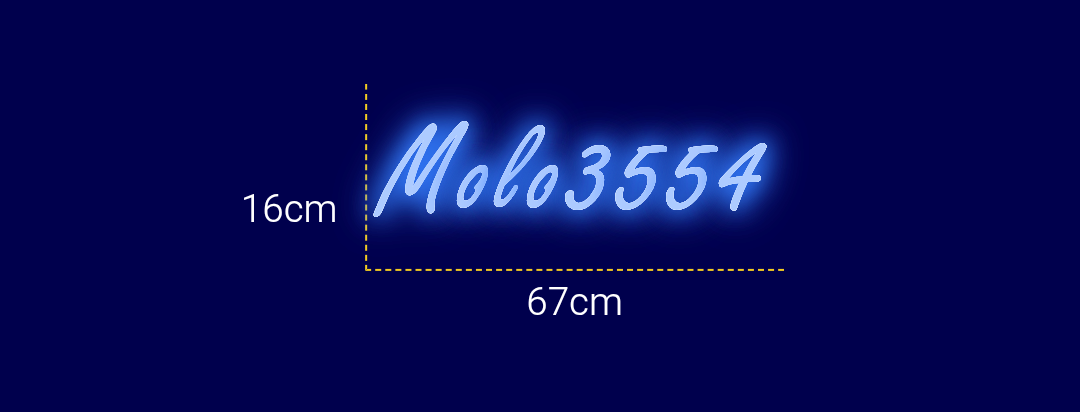 Néon personnalisé (Molo3554)