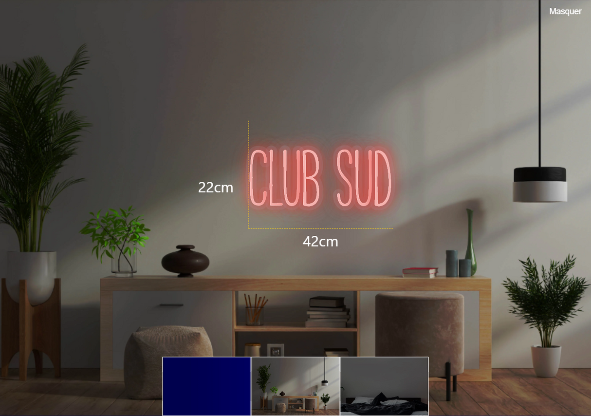 Néon personnalisé (club sud)